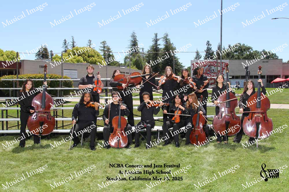 Musical Images